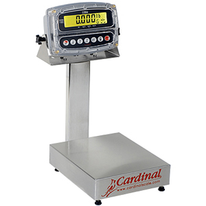 Detecto EB-15-190 Stainless Steel Bench Scale w/ 190 Indicator