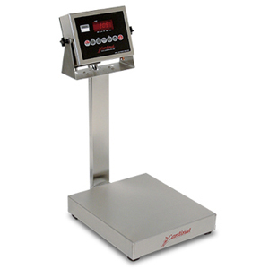 Detecto EB-15-205 Stainless Steel Bench Scale w/ 205 Indicator