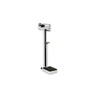 Rice Lake RL-MPS-30 Scale w/ Height Rod and Hand Post-180 kg Capacity