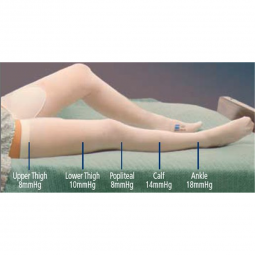 T.E.D. Cardinal 3185LF-T.E.D. Thigh High Anti-embolism Stockings, 2X-Large / Long, Stockings & Socks
