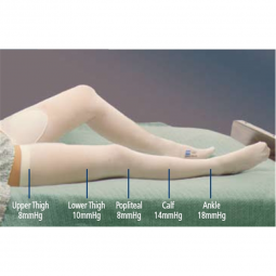 T.E.D. Cardinal 7470LF-T.E.D. Knee High Anti-embolism Stockings, 2X-Large / Regular, Stockings & Soc