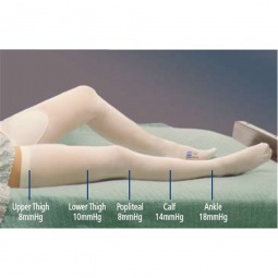 T.E.D. Cardinal 7470LF-T.E.D. Knee High Anti-embolism Stockings, 2Extra Large/Regular (CT/12)