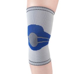 Champion 0436 Elastic Knee Support - Silver
