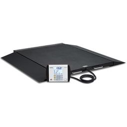 Detecto BRW1000 Portable Wheelchair Scale-1000 lb/400 kg Capacity