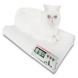 Detecto Vet75 Small-Size Animal Vet Scale