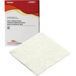 Restore Hollister 529969-Restore Silver Calcium Alginate Dressing, 1 x 12 Inch, Silver Dressings