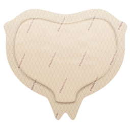Mepilex Border Sacrum Molnlycke 282055-Mepilex Border Silicone Adhesive with Border Silicone Foam Dr