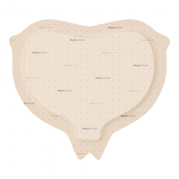Mepilex Border Sacrum Molnlycke 282455-Foam Dressing Mepilex Border Sacrum 9.2 x 9.2 in With Border 