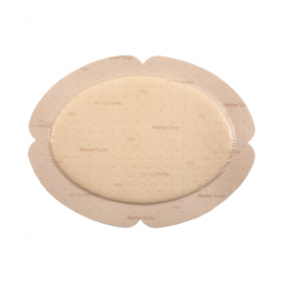 Mepilex Border Flex Molnlycke 583300-Foam Dressing Mepilex Border Flex 5.1 x 6.3 in With Border Film
