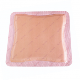 Allevyn Gentle Border Smith & Nephew 66800280-Allevyn Gentle Border Silicone Foam Dressing, 7 x 7 In