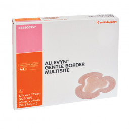 Allevyn Gentle Border Smith & Nephew 66800959-Allevyn Gentle Border Silicone Gel Adhesive with Borde