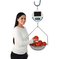 Detecto SCS30 Legal for Trade Solar Hanging Scale-30 lb/15 kg Capacity